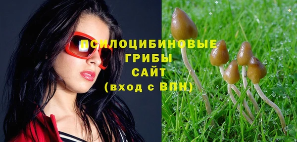 прущий лед Аркадак
